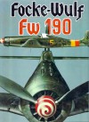 Focke-Wulf Fw 190 - Robert Grinsell, Rikyu Watanabe