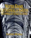 Notre Dame, Cathedral Of Amiens: The Power Of Change In Gothic - Stephen Murray