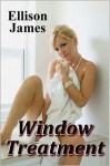 Window Treatment - Ellison James