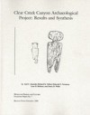 Clear Creek Canyon Archaeological Project: Results And Synthesis - Joel C. Janetski