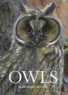 Owls - Marianne Taylor