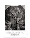 Autumn Tree Against Cathedral Rocks, Yosemite 1944 - Ansel Adams