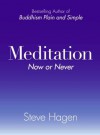 Meditation Now or Never - Steve Hagen