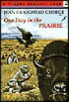 One Day in the Prairie - Jean Craighead George, Bob Marstall