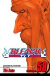 Bleach, Vol. 58: The Fire - Tite Kubo