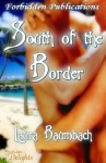 South of the Border - Laura Baumbach