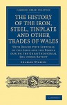 The History of the Iron, Steel, Tinplate and Other Trades of Wales - Charles Wilkins