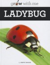 Ladybug - Kate Riggs