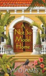 A Not So Model Home (An Amanda Thorne Mystery) - David James