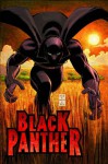 Black Panther: Who Is the Black Panther? - Reginald Hudlin, John Romita Jr.