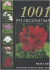 1001 Pelargoniums - Hazel Key, Martin Ambery Smith