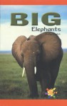 Big Elephants - Shelby Braidich