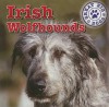 Irish Wolfhounds (Dog Mania Great Big Dogs) - Kristen Rajczak