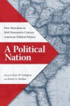 A Political Nation: New Directions in Mid-Nineteenth-Century American Political History - Gary W. Gallagher, Rachel A. Shelden