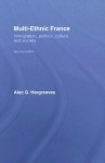 Multi-Ethnic France: Immigration, Politics, Culture and Society - Alec G. Hargreaves