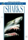 Sharks: White Star Guides Underwater World - Angelo Mojetta