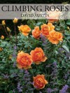 Climbing Roses - David Austin