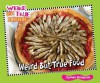 Weird But True Food (Weird But True Science) - Carmen Bredeson