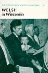 Welsh In Wisconsin - Phillips G. Davies