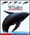 Whales - Claude Delafosse