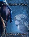 The Paladin's Choice (The Areane Journals) - Launa Sorensen