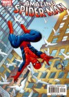 Amazing Spider-Man Vol 2 # 47: The Life and Death of Spiders - Joseph Michael Straczynski, John Romita Jr.