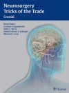 Neurosurgery Tricks of the Trade - Scott Berta, Michael Levy