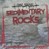 Sedimentary Rocks - Maria Nelson