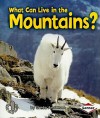 What Can Live in the Mountains? - Sheila Anderson