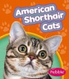 American Shorthair Cats - Wendy Perkins, Gail Saunders-Smith