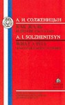 Solzhenitsyn: What a Pity! and Other Short Stories - Aleksandr Solzhenitsyn, G. Barabtarlo