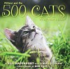 500 Cats - Jill Rappaport, Lynea Lattanzio, Bob Carey