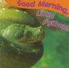 Good Morning, Little Python! - Jo Cleland