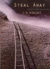 Steal Away: Selected and New Poems - C.D. Wright