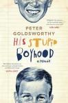 His Stupid Boyhood: A Memoir - Peter Goldsworthy