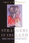 Strangers in the Land: Blacks, Jews, Post-Holocaust America - Eric J. Sundquist