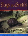 Slugs and Snails (Minibeasts) - Claire Llewellyn