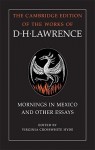 Mornings in Mexico and Other Essays - D.H. Lawrence, Virginia Crosswhite Hyde