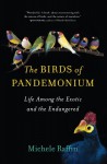 The Birds of Pandemonium - Michele Raffin