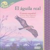 El Aguila Real: Cuento Espanol - Silvia Dubovoy, Paz Rodero