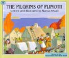 The Pilgrims of Plimoth: Struggle for Survival - Marcia Sewall