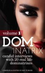 Dominatrix: Candid interviews with 20 real life Dominatrixes (Volume 1) - Roy Turner