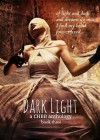Dark Light Book Three - Sarah Jayne Carr, Christian A. Larsen, Michael McGlasson