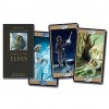 Cards: Tarot of the Elves - NOT A BOOK