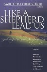 Like A Shepherd Lead Us: Guidance for the Gentle Art of Pastoring - David Fleer