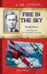 Fire in the Sky: World War I, Paul Townend, Over No Man's Land, 1916 - David Ward