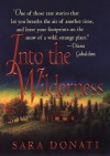 Into the Wilderness (Wilderness #1) - Sara Donati