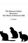 The Witch of Primrose Hill - C.J. Wright