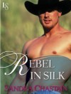 Rebel in Silk: A Loveswept Classic Romance - Sandra Chastain