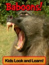 Baboons! - Becky Wolff